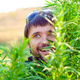 Illustration for article titled Genetically Engineered Weed: There's an App for That